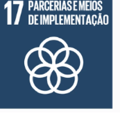 ODS 17