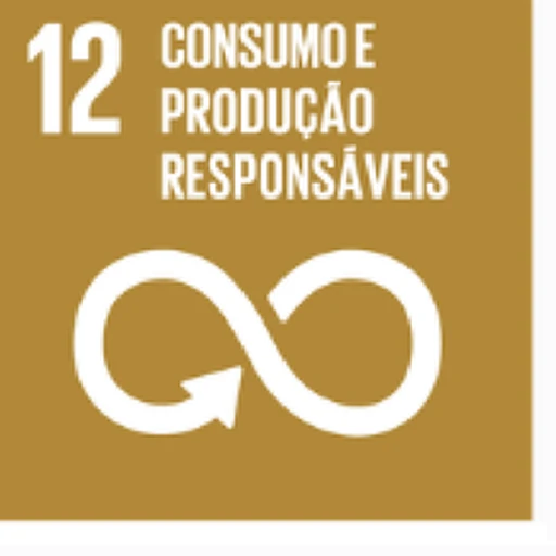 ODS 12