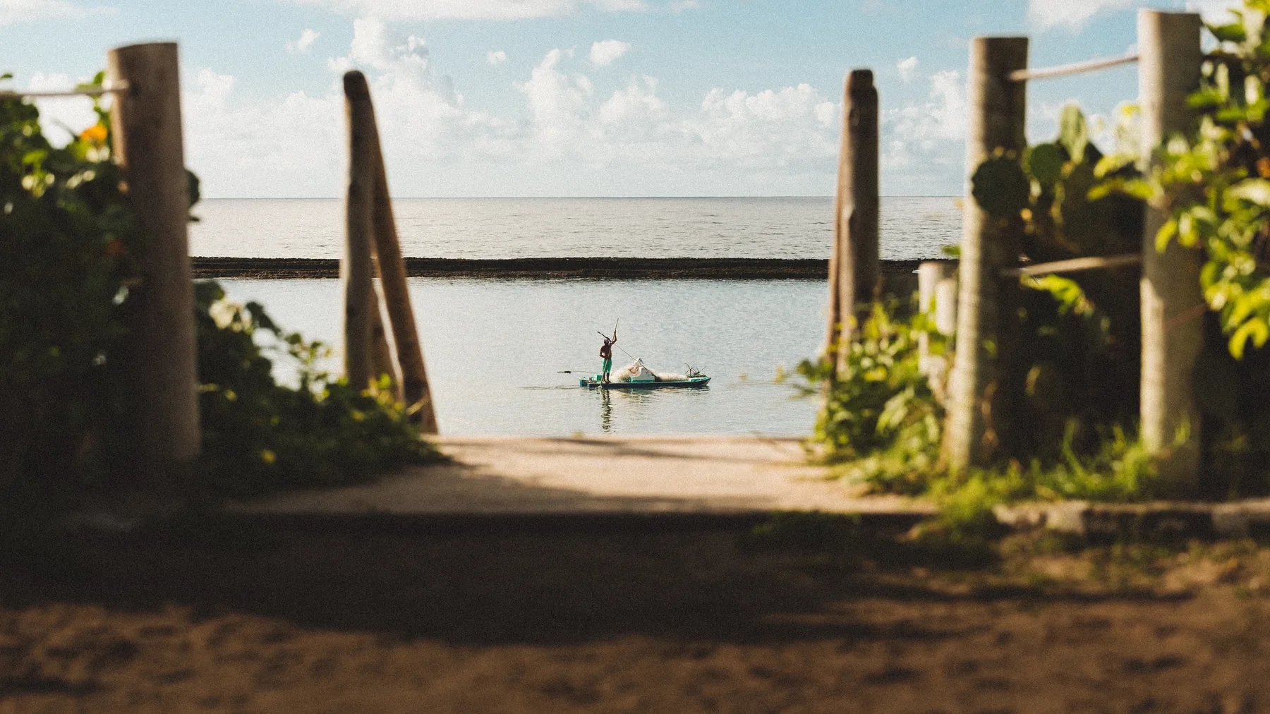 Mar azul e praia de Alagoas como símbolo do cuidado ambiental.