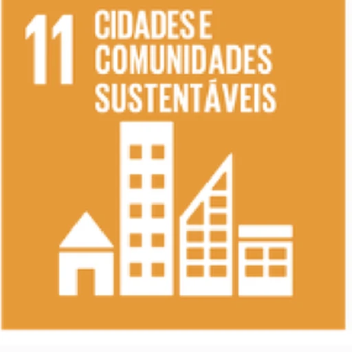 ODS 11