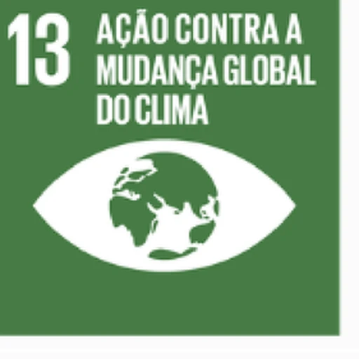 ODS 13